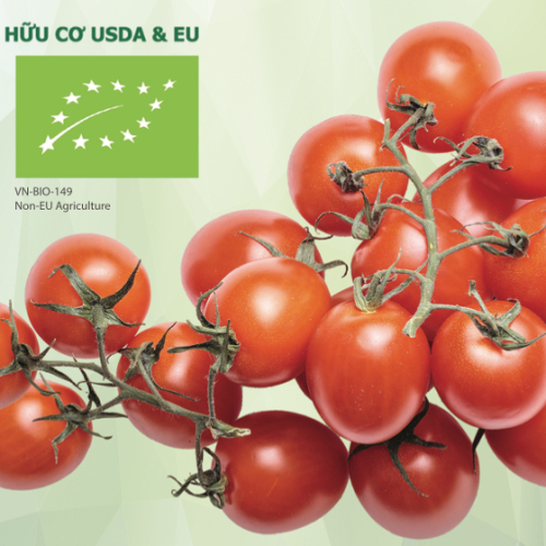 Cà chua Cherry đỏ