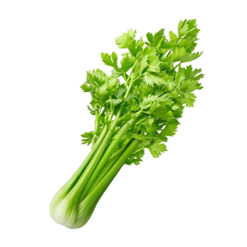 Cần Tây hữu cơ